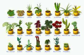 Ubbthreads Php 845 X 556 Plants Planter Pots Planters