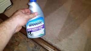 woolite pet stain and odor remover plus