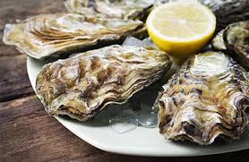 oysters including s nutrition