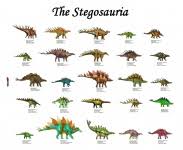 Illustrated Dinosaurs Chart Free Stock Photo Public Domain