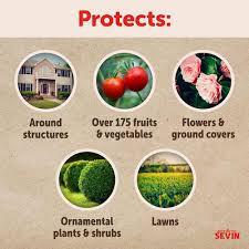 sevin insect lawn granules
