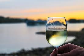 An Introduction to French Sauvignon Blanc | JJ Buckley Fine Wines