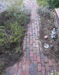 dry setting a paver path