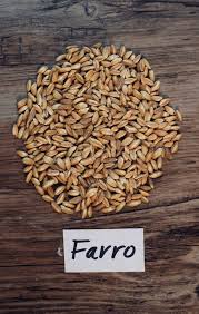 farro vs barley the incredible bulks