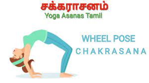 wheel pose yoga asanas tamil