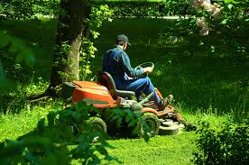A Lawn Mowing Business