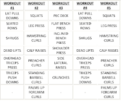 Weekly Bodybuilding Workout Routine Workout Routines
