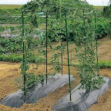 Steel Plant Garden Tomato Stakes