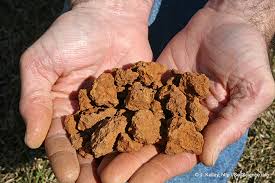 Clay Soil A Mixed Blessing But Easily