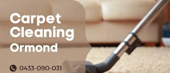 carpet cleaning ormond professional