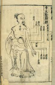 File 17th C Chinese Acupuncture Chart Lung Channel Of Hand