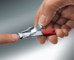 victorinox swiss army nail clipper