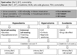 Diagnostic Algorithm For Hyponatremia Bun Blood Urea