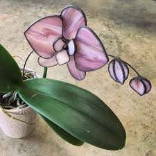 3d Stained Glass Orchid Pattern