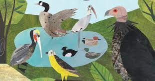 A great focus for nature studies, for a homeschool topical study, or as a way to practice observation skills throughout the year. Ten Birdy Children S Books To Read With Your Fledglings Audubon