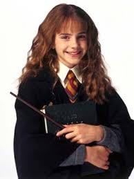 Anything hermione granger is allowed. Hermione Granger Harry Potter Addicts
