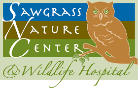 Sawgrass Nature Center & Wildlife Hospital