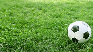 The grass is brought to the field in special rolls of turf cover. Soccer Ball On The Grass Stock Footage Video 100 Royalty Free 3017425 Shutterstock