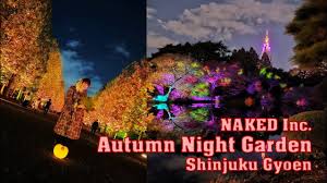 autumn night garden at shinjuku