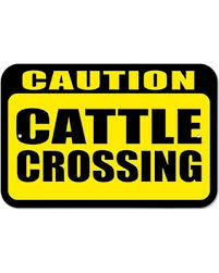 Image result for Cattle Crossing.