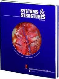 Systems And Structures The Worlds Best Anatomical Charts