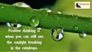 When the sunlight strikes raindrops in the air, they act like a prism. Daily Kind Quote Share Your Light