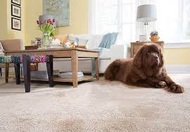 flooring services minneapolis carpet