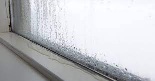 What is Condensation Resistance for Windows and Doors? - Great Plains  Windows and Doors
