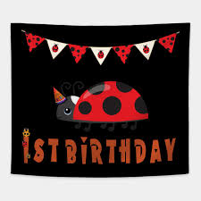 Ladybug T Shirt First Birthday Happy Birthday Tee