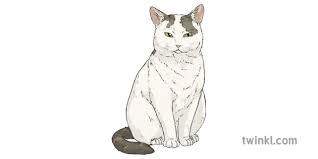 The adjective feline is useful when you're talking about cats — just as canine describes dogs, and ursine describes you can even describe a person as feline, if something about him or her is catlike. Milo The Cat Animal Pet Feline Ks2 Illustration Twinkl