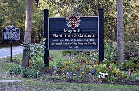 magnolia plantation charleston sc com
