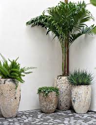 Pots Indoor Flowers Trendy Plants
