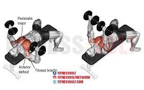 the bench press vs the dumbbell fly