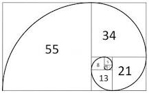 Image result for the golden ratio