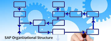 Sap Organizational Structure Enterprise Structure Learnsap