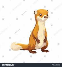 Vector Cute Weasel Cartoon Style: стоковая векторная графика (без  лицензионных платежей), 2301784839 | Shutterstock