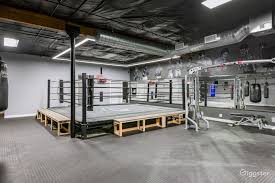 gritty boxing gym ion friendly