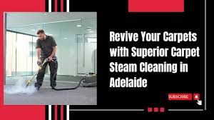superior carpet steam cleaning