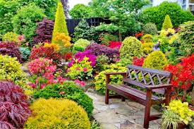 beautiful flower garden for relaxing