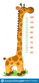 Giraffe Meter Wall Or Height Chart Or Wall Sticker Stock