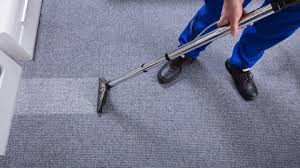steam carpet cleaning gator clean