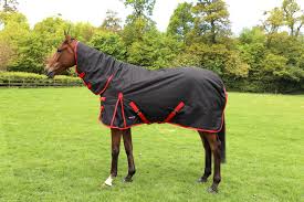 rugs this winter celtic equine