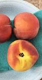 Can I cut up peaches ahead of time?