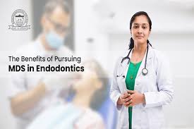 The Benefits Of Pursuing Mds In Endodontics