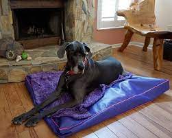 heavy duty dog bed very easy to clean