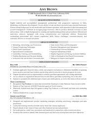 Deloitte Consulting Resume   Free Resume Example And Writing Download