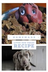 homemade liver treats for dogs easy