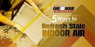 5 Ways To Refresh Stale Indoor Air