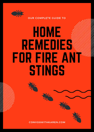 home remes for fire ant bites that