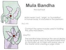 bandhas the locking techniques of yoga